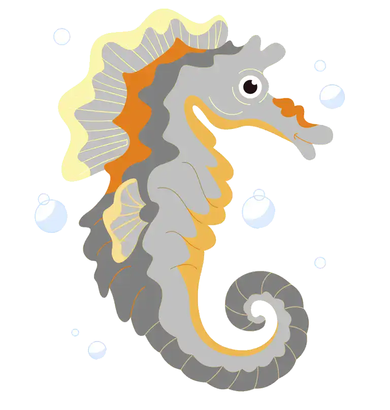 Csikóhal