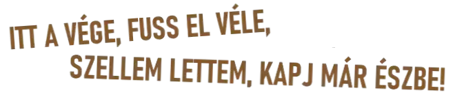 ITT A VÉGE, FUSS EL VÉLE, SZELLEM LETTEM, KAPJ MÁR ÉSZBE!